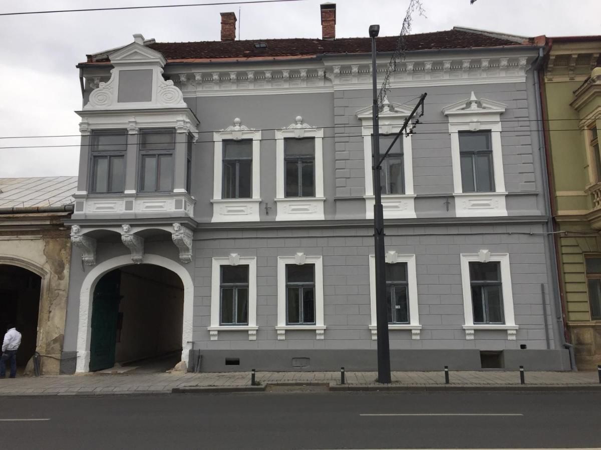 Проживание в семье Mansion Josephina Клуж-Напока-46